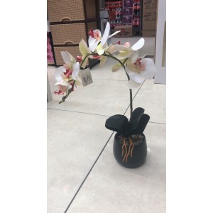 قوار ورد سحلب حجم كبير GDC503-3 قوار ورد سحلب حجم كبير GDC503-3