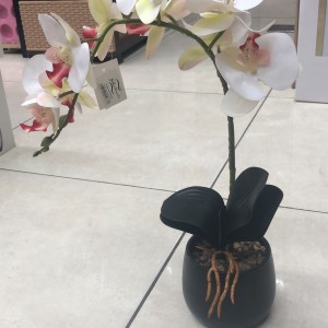 قوار ورد سحلب حجم كبير GDC503-3 قوار ورد سحلب حجم كبير GDC503-3