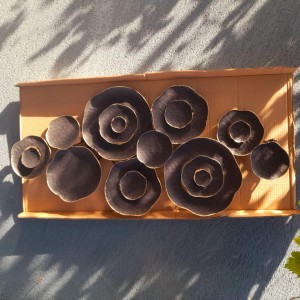 برواز معدن ذهبي اسود دوائر برواز معدن ذهبي اسود دوائر