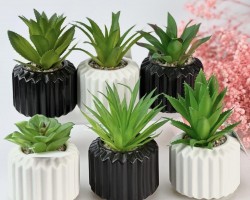 قوار ورد صبار16 سم بورسلان ابيض واسود طابة AF45-20