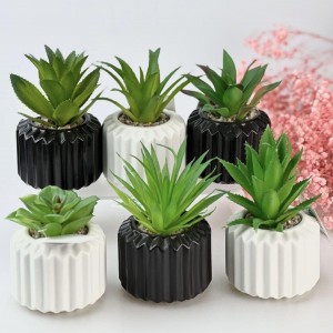 قوار ورد صبار16 سم بورسلان ابيض واسود طابة AF45-20