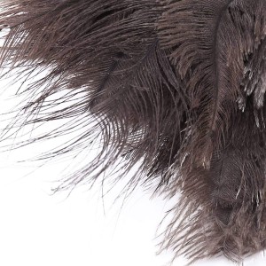 منفضه غبره مع عصا ريش نعام حجم طويل