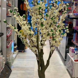 شجرة ورد جوري نوار ابيض ارتفاع 50 سم