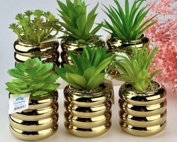 قوار ورد صبار16 سم بورسلان مدور حلقات ذهبي AF45-7