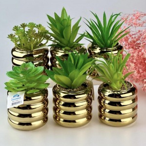 قوار ورد صبار16 سم بورسلان مدور حلقات ذهبي AF45-7