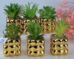 قوار ورد صبار16 سم بورسلان بابلز مربع ذهبي AF45-9