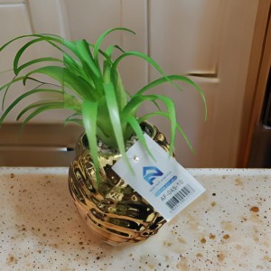 قوار ورد صبار16 سم بورسلان طابة مجدول ذهبي AF45-10