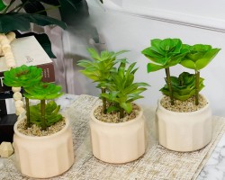 قوار ورد صبار 16 سم بورسلان ابيض اقواس عمودية M21-21