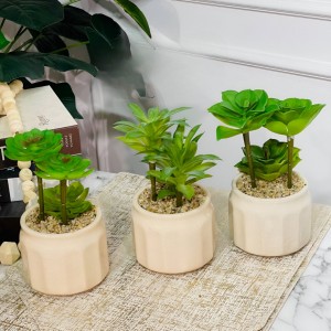 قوار ورد صبار 16 سم بورسلان ابيض اقواس عمودية M21-21 قوار ورد صبار 16 سم بورسلان ابيض اقواس عمودية M21-21