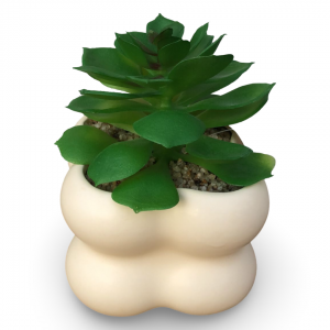 قوار ورد صبار16 سم بورسلان مربع حلقات ابيض M21-4