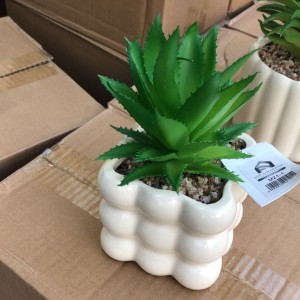 قوار ورد صبار16 سم بورسلان بابلز مدور ابيض M21-13 - قوار ابيض ببلز قوار ورد صبار16 سم بورسلان بابلز مدور ابيض M21-13 - قوار ابيض ببلز