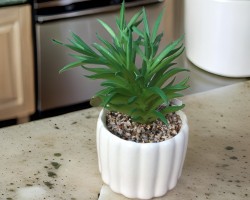 قوار ورد صبار 16 سم بورسلان ابيض محزز طولي M21-3