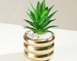 قوار ورد صبار ذهبي حجم صغير 8 × 15 سم