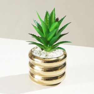 قوار ورد صبار ذهبي حجم صغير 8 × 15 سم