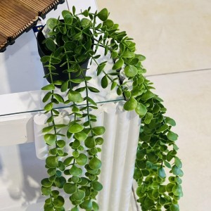 عرق سبنجة - مسبحة طويل