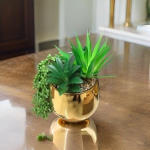 قوار صبار مع حصرم حجم وسط مع قوار مذهب مدور مضلع