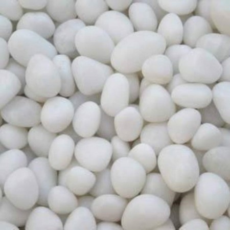 كيس احجار ابيض 5 كيلو لتزيين الحدائق