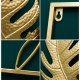 برواز معدن ذهبي مستطيل ورود - أوراق الغينكو مقاس 40 × 60 سم برواز معدن ذهبي مستطيل ورود - أوراق الغينكو مقاس 40 × 60 سم