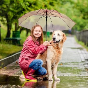 شمسية شفاف / ملون