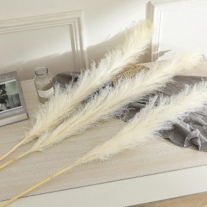 عرق ريش ابيض حجم كبير