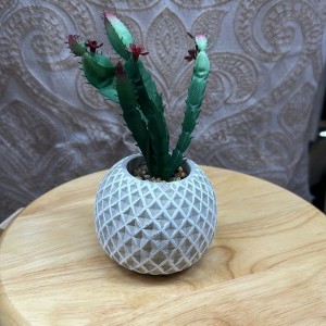 قوار ورد صبار مع قاعدة جير جبص ثقيل