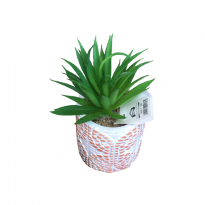 قوار ورد صبار 16 سم بورسلان صغير ملون