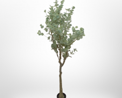 قوار شجرة ورق اخضر حجم وسط 150سم