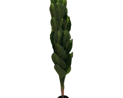 شجر موز زينة طويل 180 مع قوار اسود