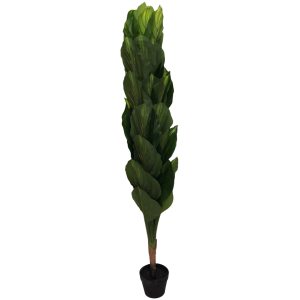 شجر موز زينة طويل 180 مع قوار اسود