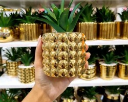 قوار ورد صبار 16 سم بورسلان اسطواني نافر ببلز ذهبي