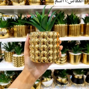 قوار ورد صبار 16 سم بورسلان اسطواني نافر ببلز ذهبي