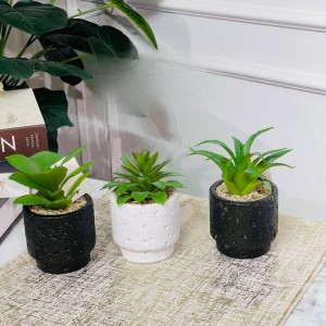 قوار ورد صبار بورسلان صغير M21-15