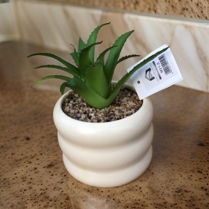 قوار ورد صبار16 سم بورسلان مدور حلقات ابيض