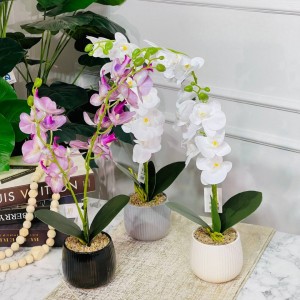 قوار ورد ابيض اوركيدا 50 سم مع قوار ابيض بورسلان حجم وسط