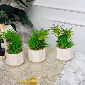 قوار ورد صبار16 سم بورسلان ابيض ثماني M21-6