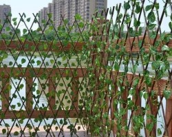 قاطع ورق شجر خشب اكسات مع ورق خيزران