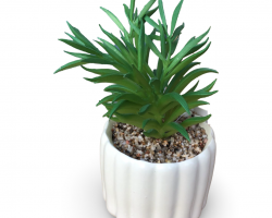 قوار ورد صبار 16 سم بورسلان ابيض محزز طولي M21-3