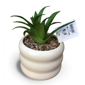 قوار ورد صبار16 سم بورسلان مدور حلقات ابيض قوار ورد صبار16 سم بورسلان مدور حلقات ابيض