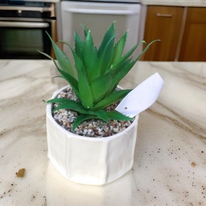 قوار ورد صبار16 سم بورسلان ابيض ثماني M21-6 قوار ورد صبار16 سم بورسلان ابيض ثماني M21-6