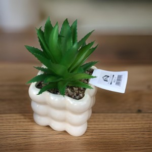 قوار ورد صبار16 سم بورسلان بابلز مربع ابيض M21-1 قوار ورد صبار16 سم بورسلان بابلز مربع ابيض M21-1