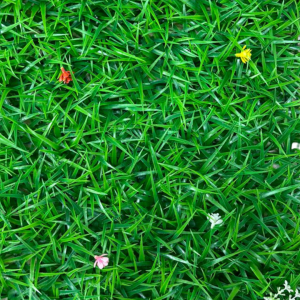 قطع ديكور للجدران ورد صناعي على شبك بلاستك مقاس 40 × 60 سم