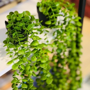 عرق سبنجة - مسبحة طويل عرق سبنجة - مسبحة طويل