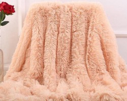 حرام ربطه شعر - ريش مفرد يافا 