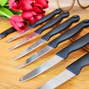 طقم سكاكين فواكة 12 قطعة سكين فواكه ملون طقم سكاكين فواكة 12 قطعة سكين فواكه ملون