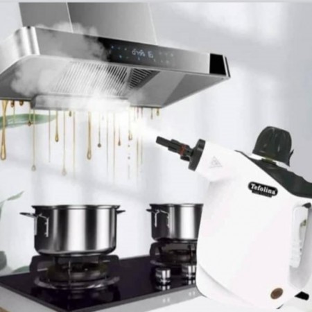 جهاز / ماكنة تنظيف وتعقيم بتقنية البخار بخاخ FEFOLINA EM-316