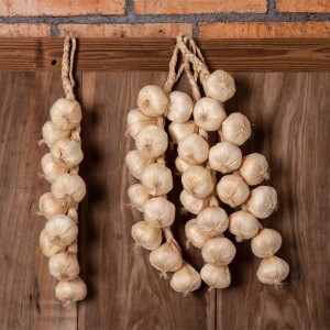 حبل خضار بلاستيك شكل ثومة AC270-2 حبل خضار بلاستيك شكل ثومة AC270-2