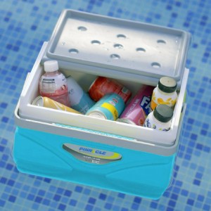 ثلاجة رحل هندي سدنيت 11 لتر PINNACLE Preimero