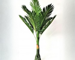 شجرة ثقيل مع قوار حجم وسط