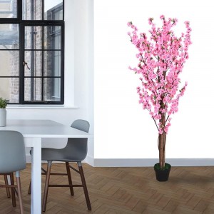 شجر لوز زهري حجم وسط 130سم شجر لوز زهري حجم وسط 130سم