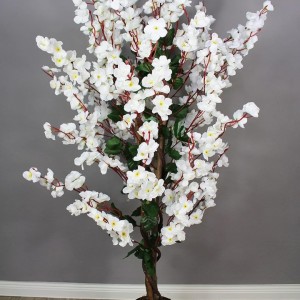 شجر لوز سكري حجم وسط 150سم شجر لوز سكري حجم وسط 150سم